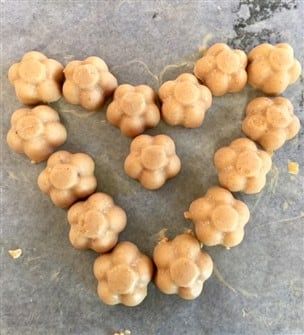 homemade-treats-for-boxer-dog 